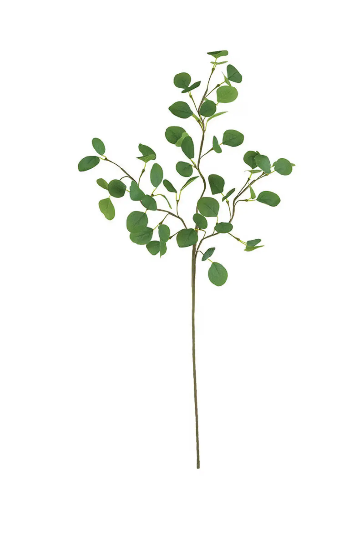 Elijah Eucalyptus Branch Bundle - Image 3